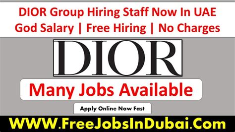 how to get job in dior|dior job openings.